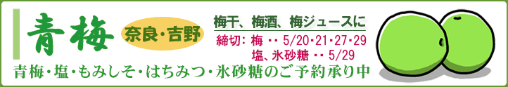 青梅ご予約