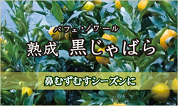熟成黒じゃばら