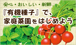 有機種子で家庭菜園はじめよう