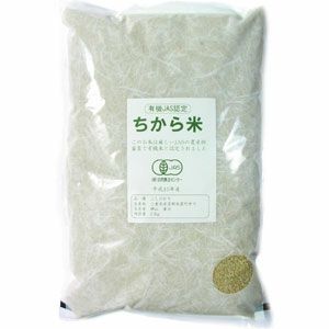 有機ドライフルーツ 干しあんず 100g｜ノヴァ｜《公式》自然食品・有機