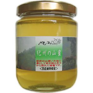 紀州の山蜜 （中） 275g