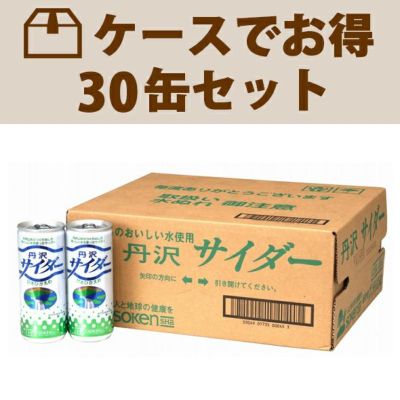 ケースでお得 丹沢サイダー  （250ml×30缶入り）１箱