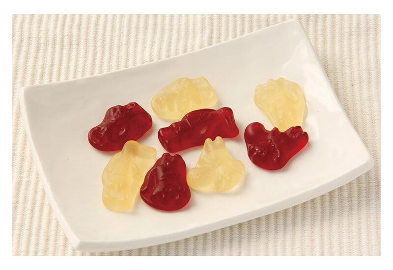 メイシーちゃんのおきにいり アップルとグレープのグミ 8粒｜創健社