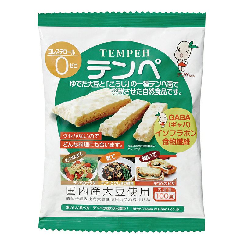 テンペ ＴEMPEH（レトルト） 100g｜マルシン食品｜《公式》自然食品・有機米かねこや