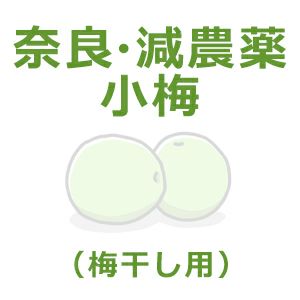 奈良県・減無農薬栽培の小梅（梅干し用） 1kg