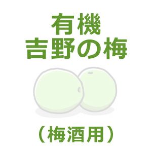 有機・吉野の梅（梅酒梅） 5kg｜ムソー 