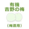 有機・吉野の梅（梅酒梅） 5kg｜ムソー 