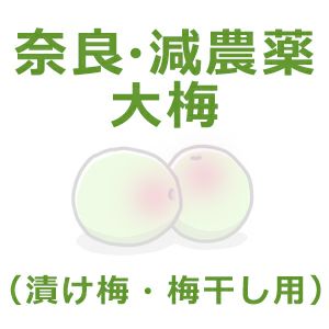 奈良県・減農薬栽培 大梅（漬け梅用・梅干し用） 1kg