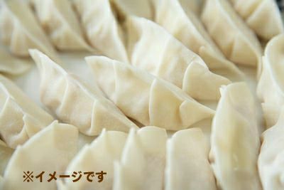 アルファー 冷凍 餃子の皮（大判） 20枚入１袋