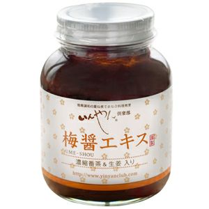 梅醤エキス 濃縮番茶＆生姜入り 250g