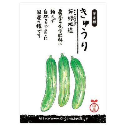 国産・自然農法種子 きゅうり（若緑地這）0.25ml・約10粒