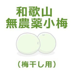 和歌山県・無農薬小梅（梅干し用） 1kg